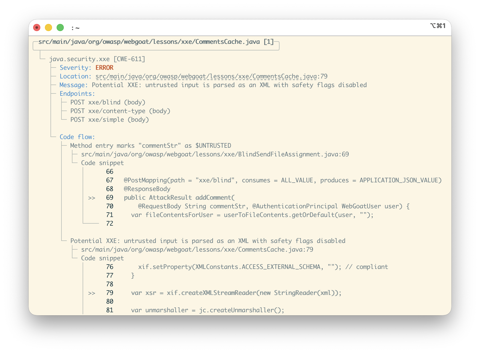 OpenTaint scan output