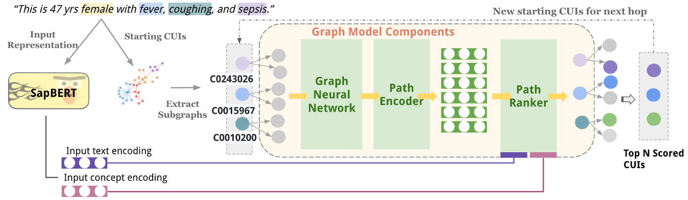 Knowledge Graph Representation