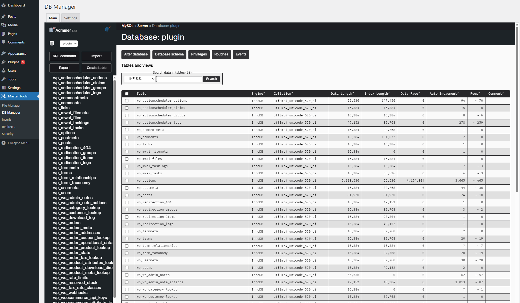 Database Manager