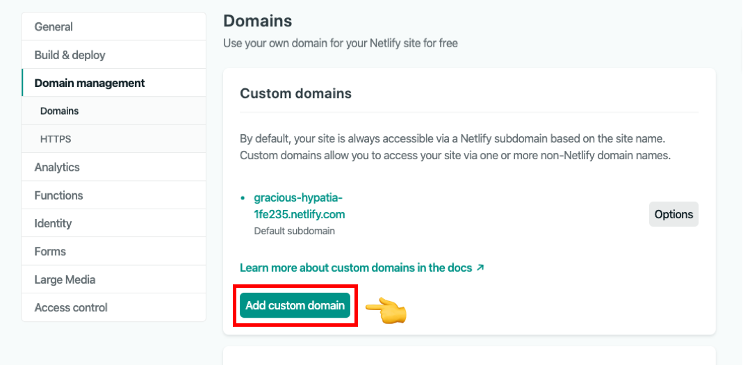 Netlify domain settings