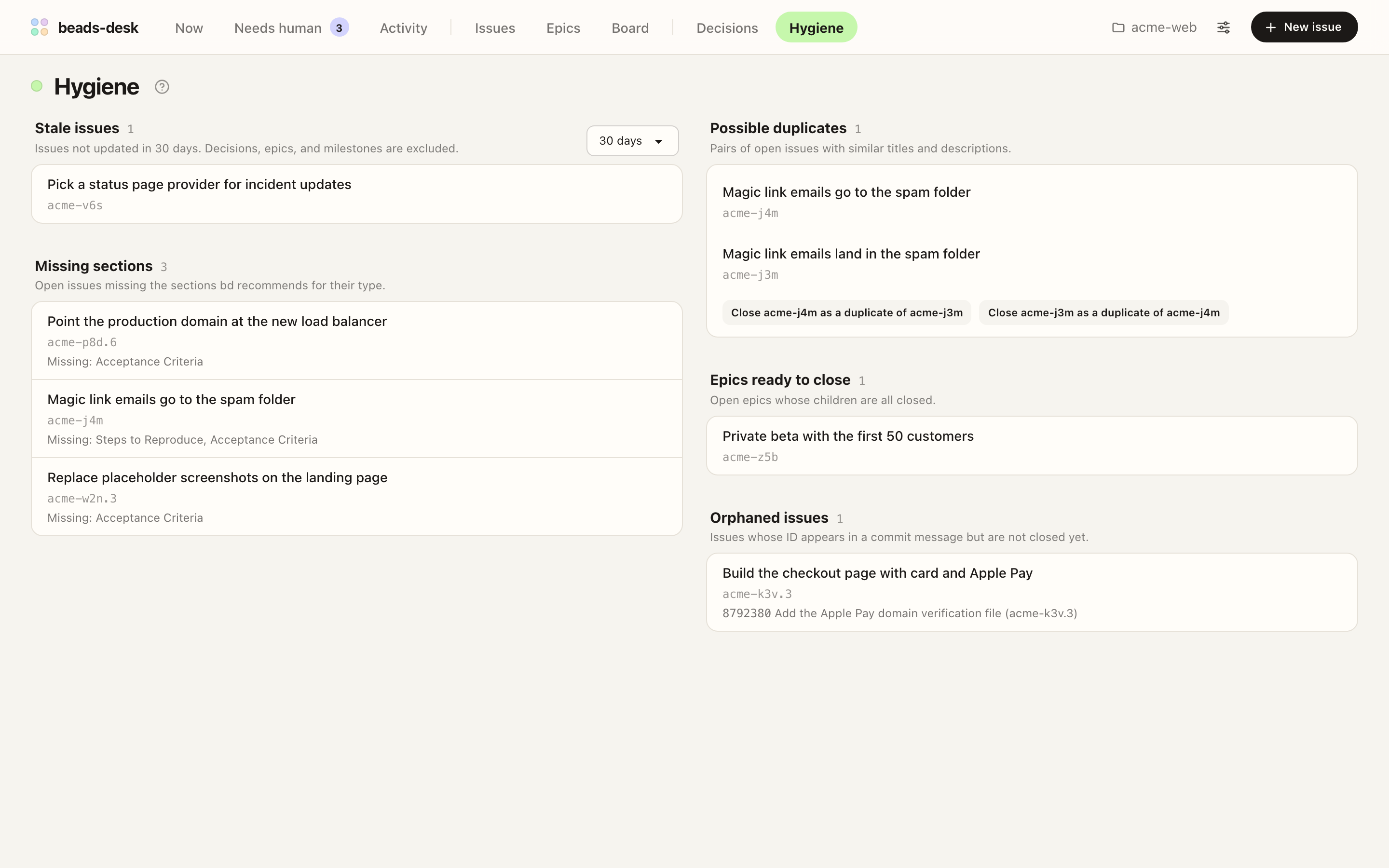 Hygiene screen with stale issues, possible duplicates, missing sections, epics ready to close, and orphaned issues