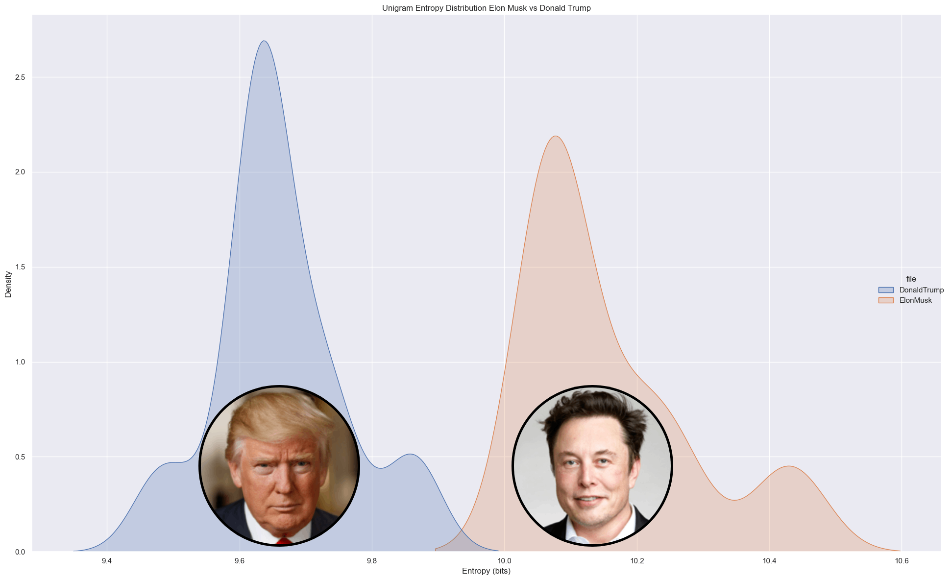 TrumpMusk