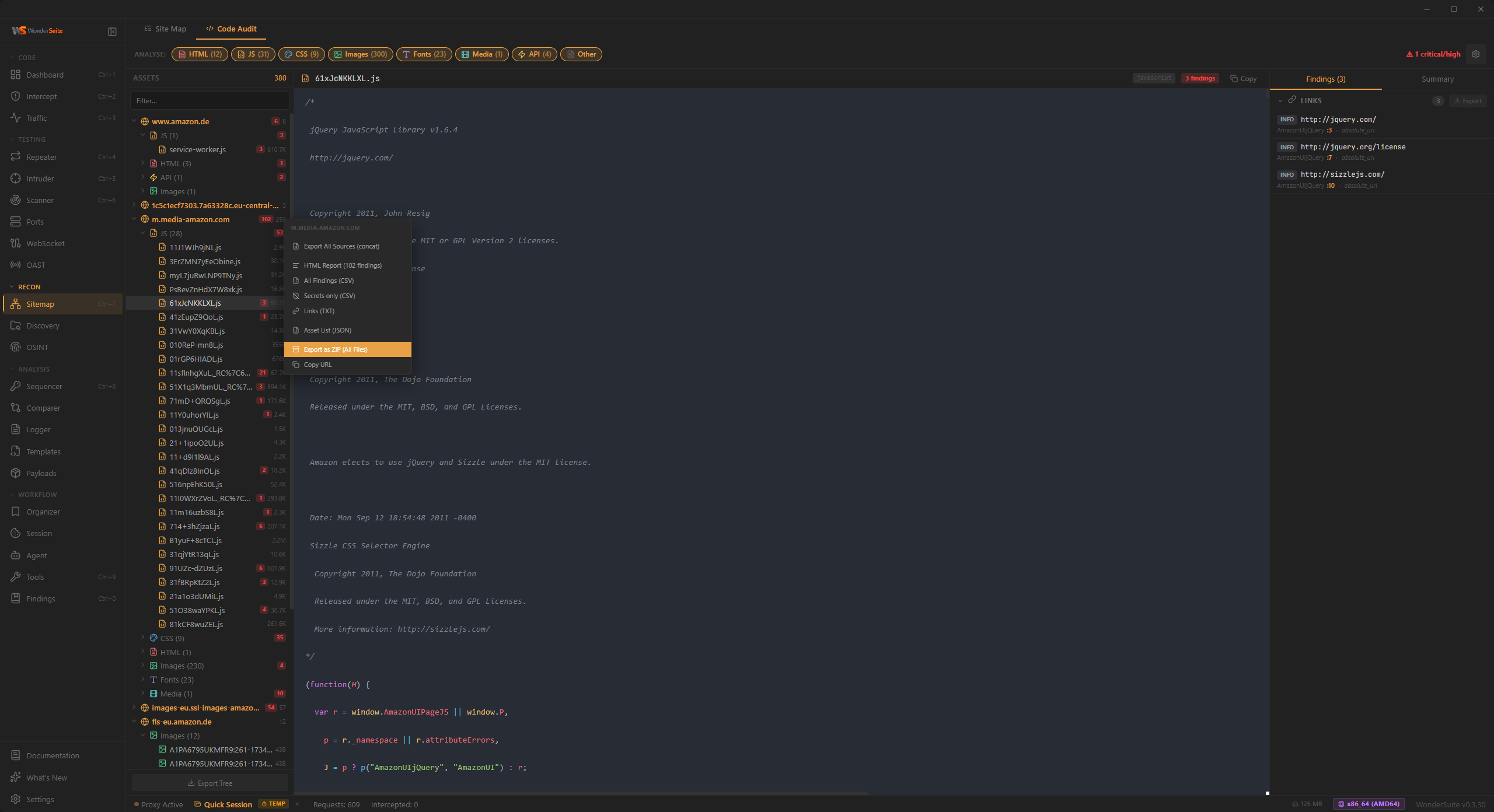 Code Audit — source viewer with findings and export menu