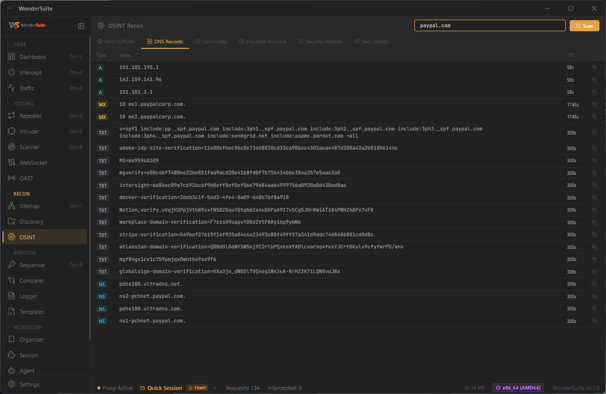 OSINT DNS