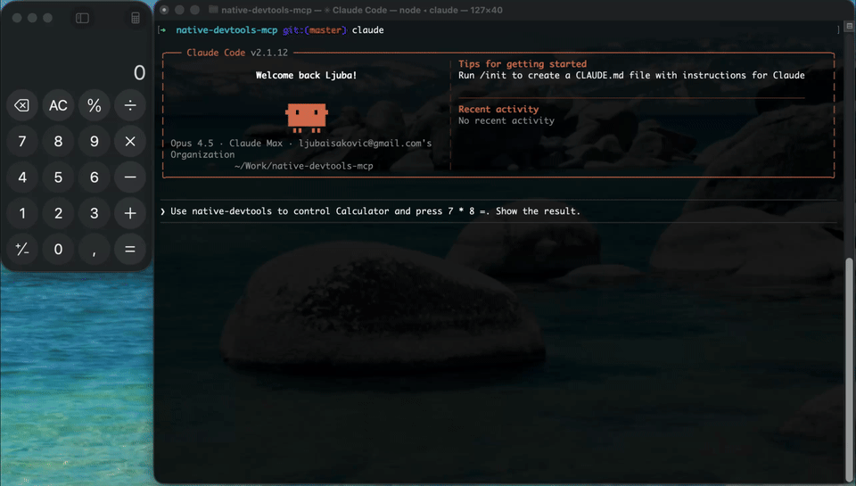 Native DevTools screenshot