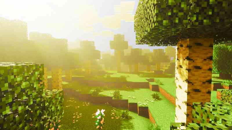 G-Lime Shader daytime scene 5