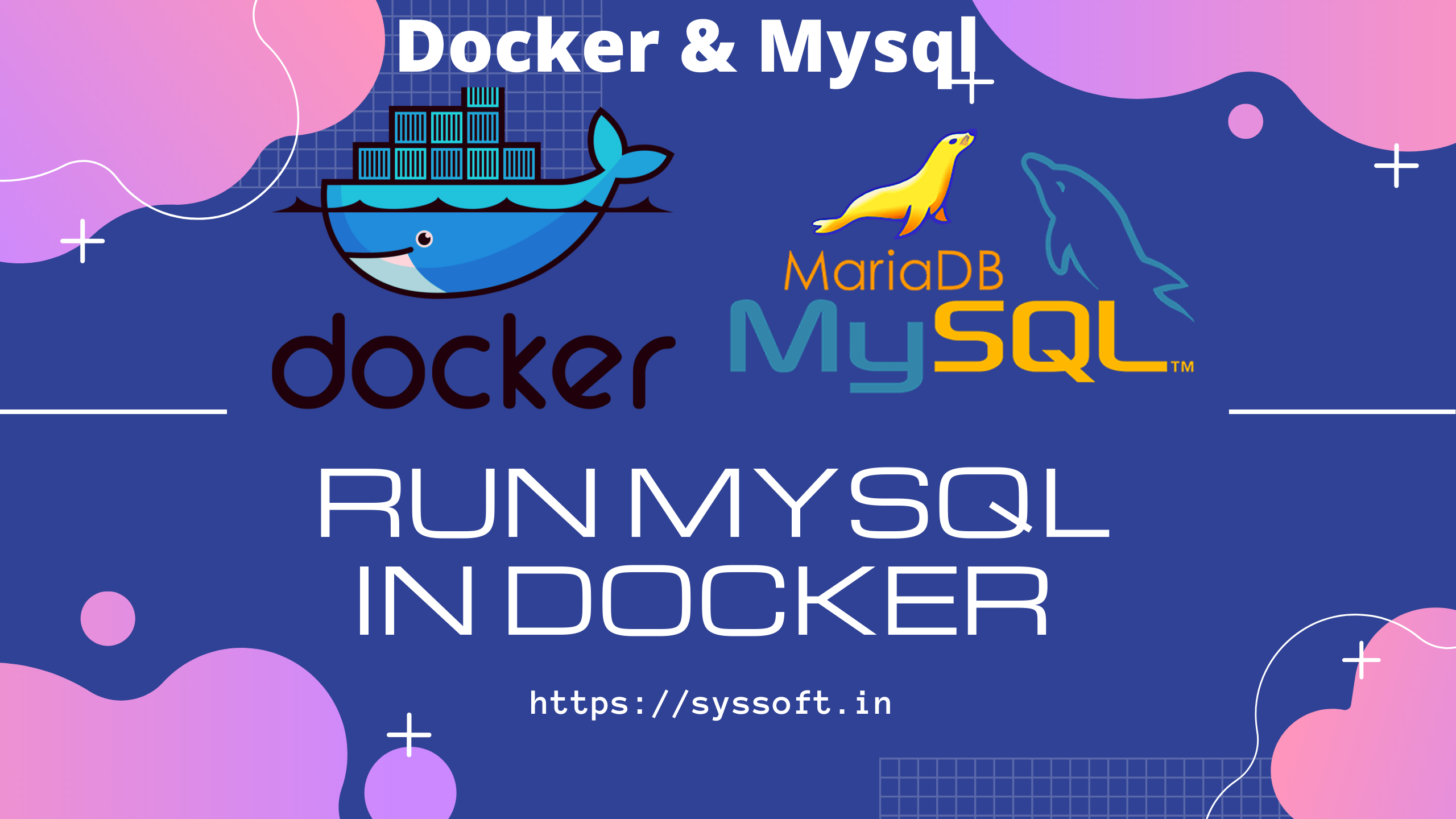 Docker + mysql