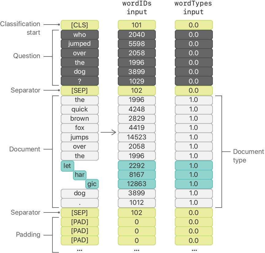 Layout diagram showing the arrangement of the two input arrays for the BERT model, as vertical columns, alongside a third reference column. The columns are aligned with each other. The reference column shows the token text in order of the input described above, beginning with the “classification start" token, then the question text tokens, followed by a separator token, the document text tokens, and another separator token, and ending with padding tokens. The "word IDs" input column shows the ID numbers of the tokens from the reference column. The "word types" input column shows a value of 1.0 for all of the document tokens and a value of zero .0 for all other tokens.