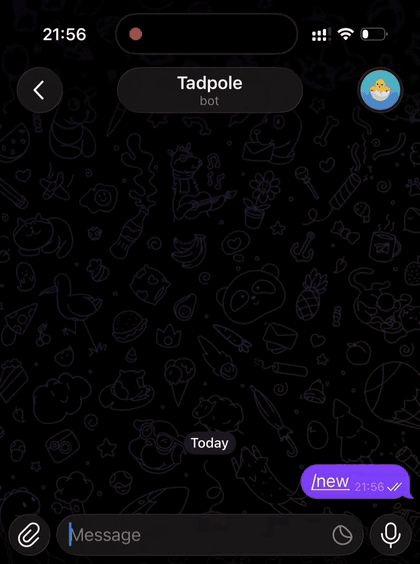 Tadpole in Telegram: it introduces itself, checks the weather in Beijing, summarizes the repo's latest commit, then sums up the chat in one sentence