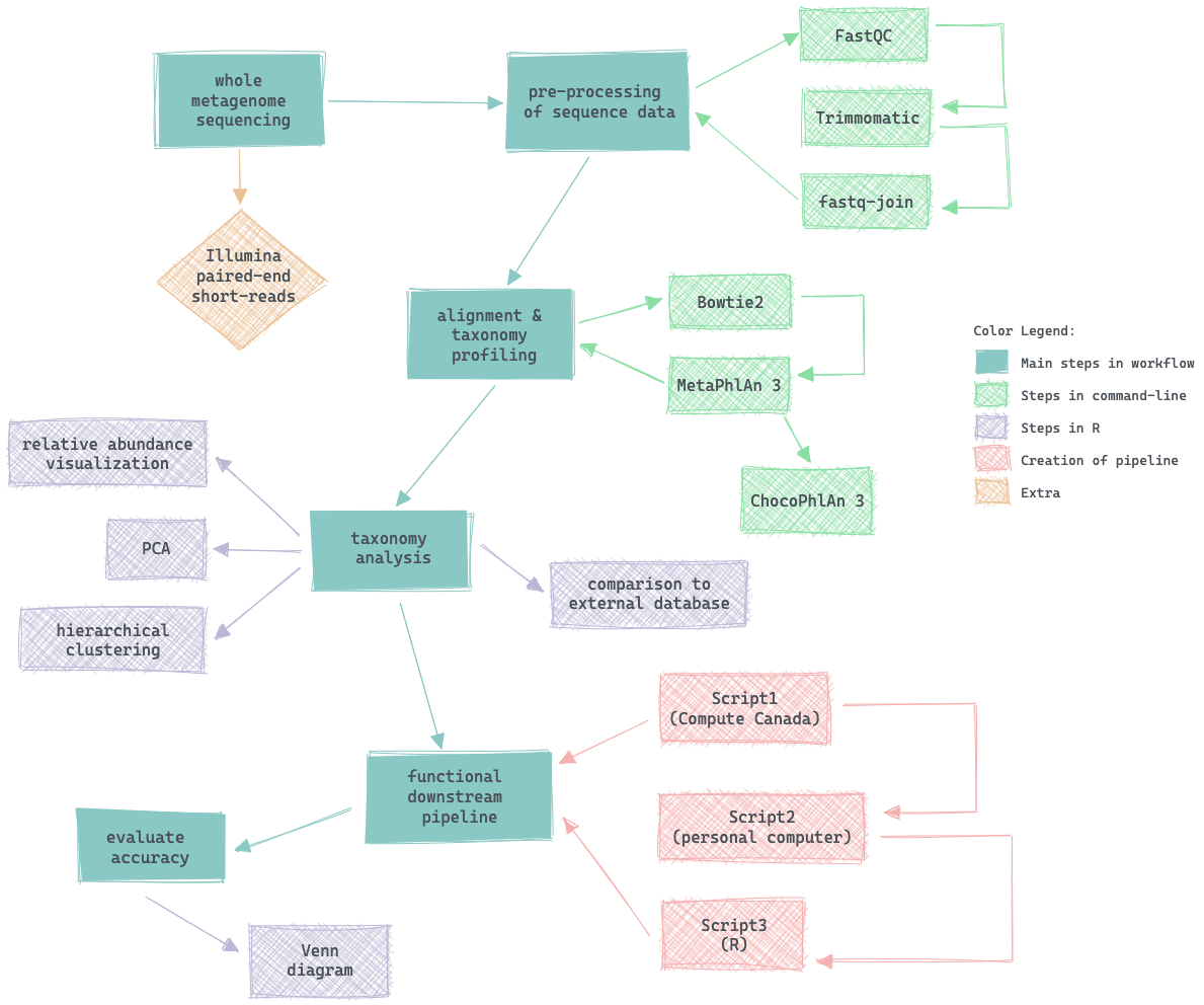 Figure 1: Workflow for the full project.