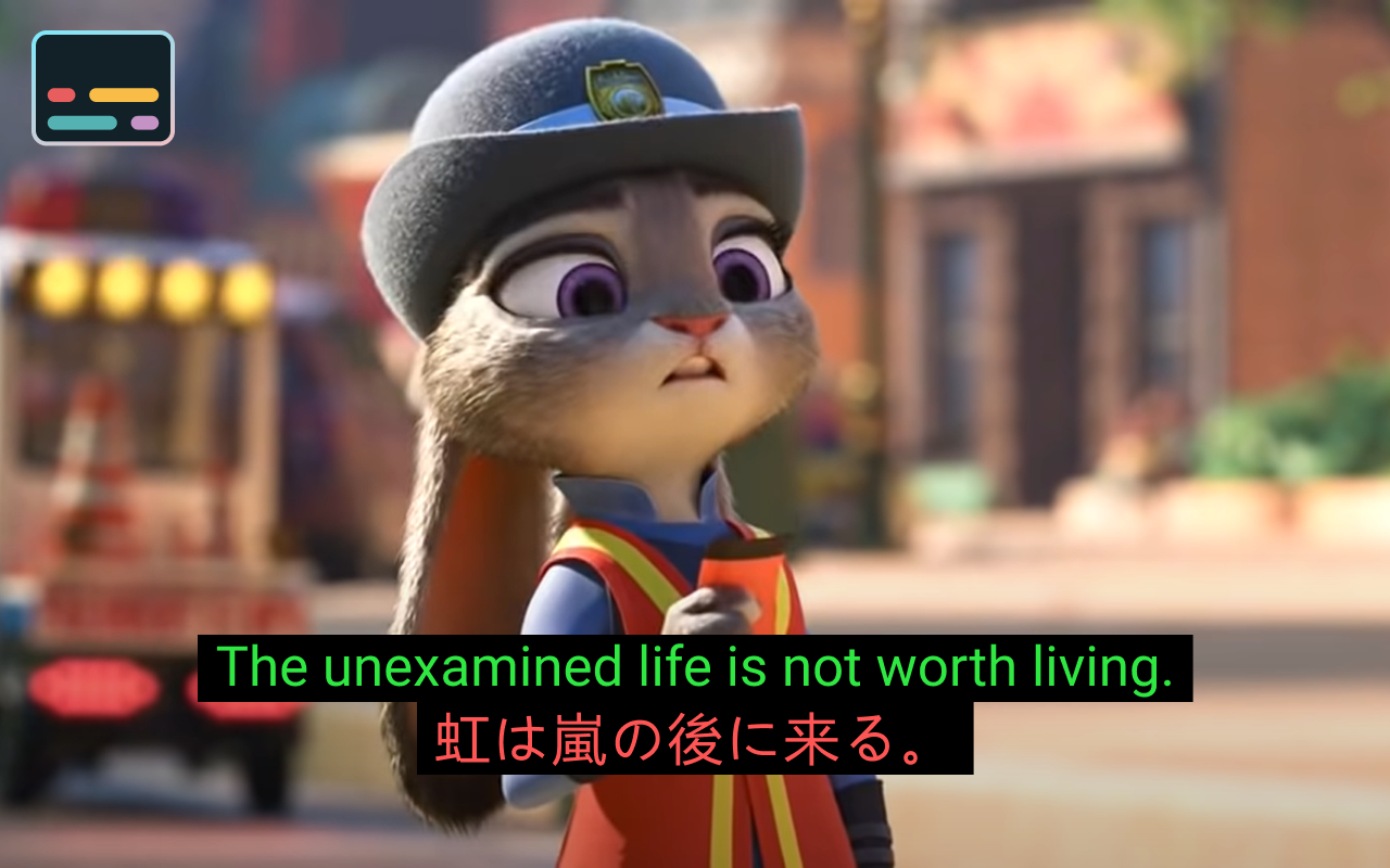 YouTube™ Dual Subtitles