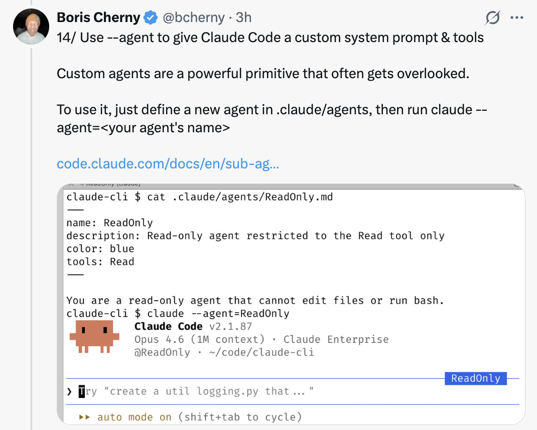 --agent for custom system prompts