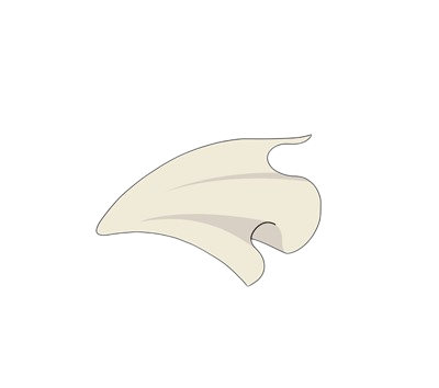 Invisibility Cape - Become invisible