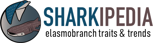 Sharkipedia Logo