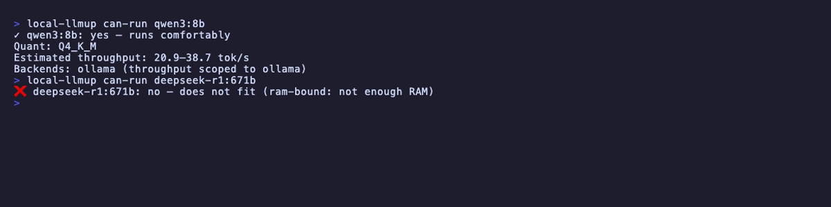 local-llmup can-run output