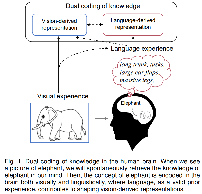 Dual coding of knowledge