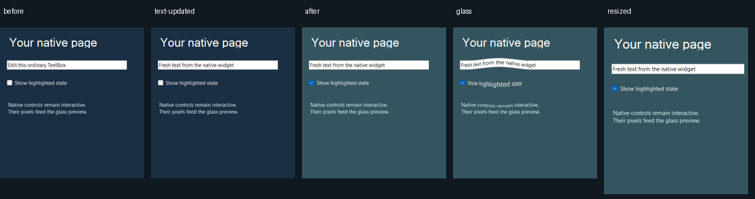 Native controls: before, text change, state change, glass and resize