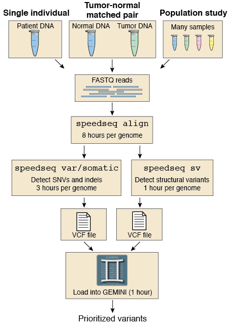 SpeedSeq workflow