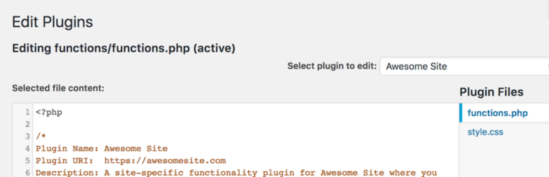 Editing the functionality plugin in the WordPress plugin header