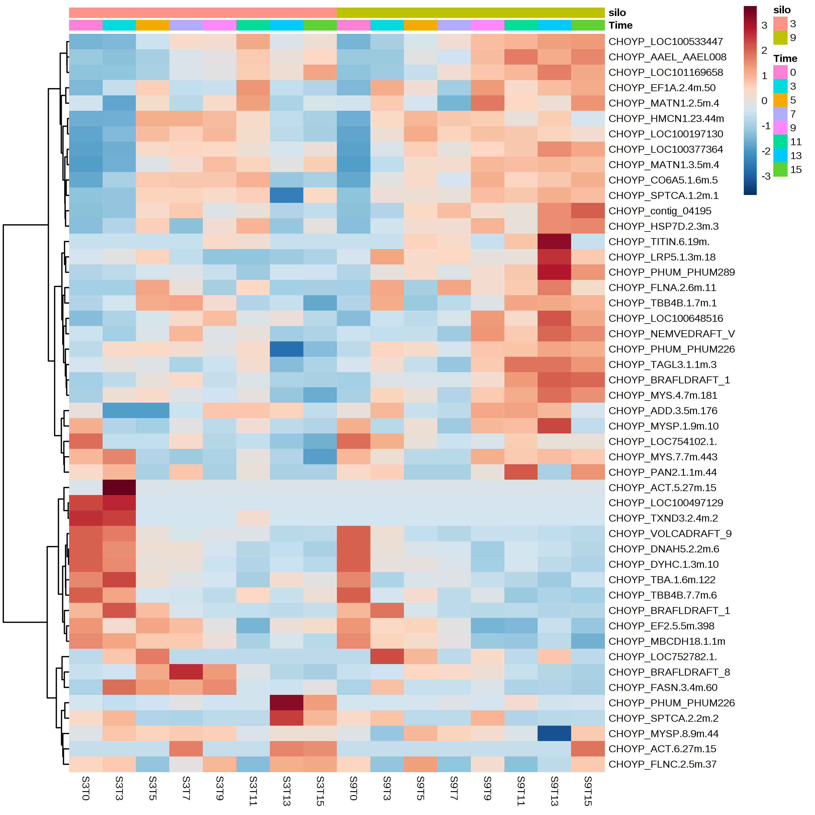 heatmap of protein abundance over time in the two temperatures (euclidean distance and ward clustering)