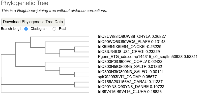 Phylogenic tree