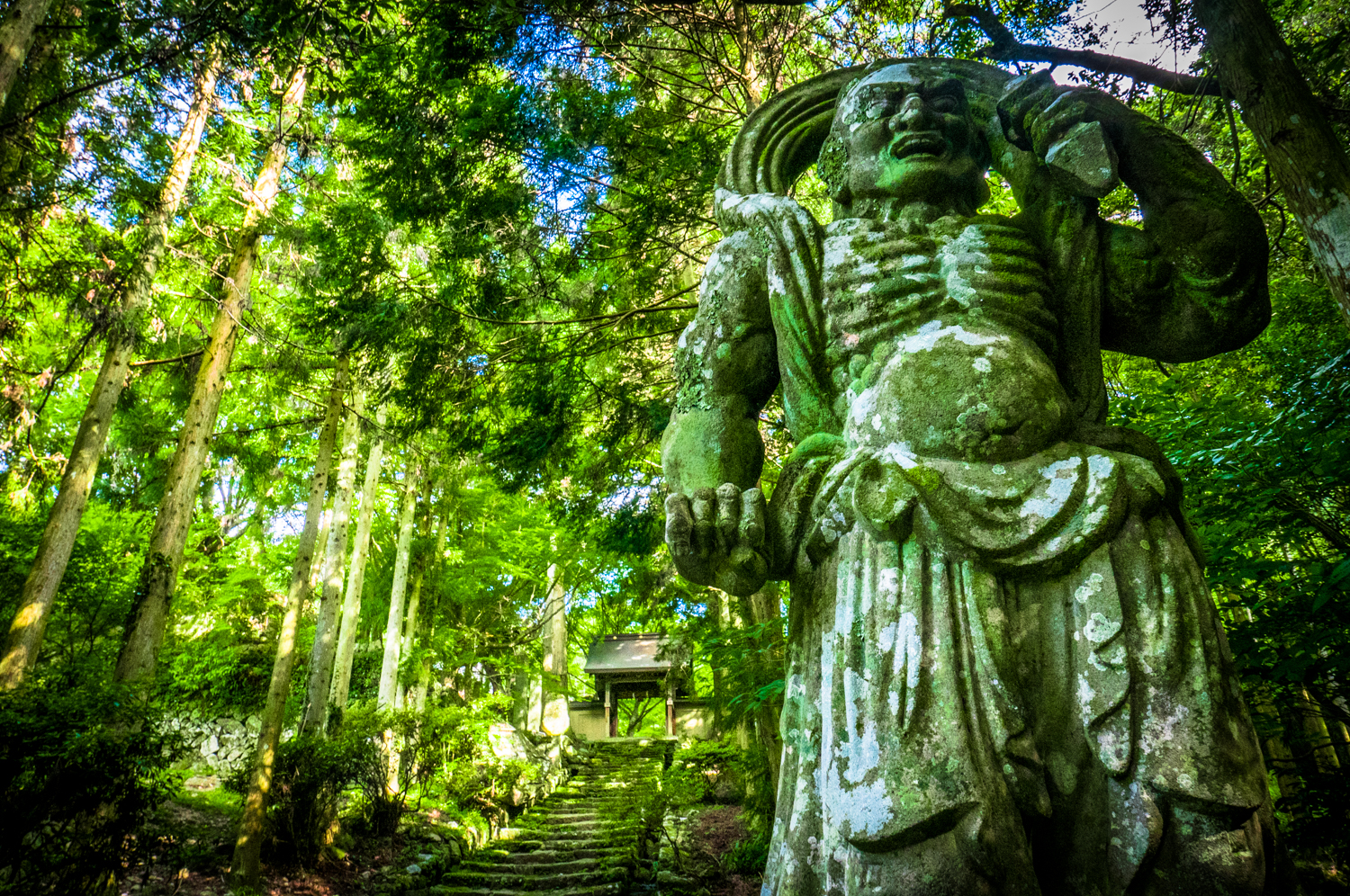 Kunisaki Futago-ji Niomon stone statues covered in moss in a green forest by Athena Lam