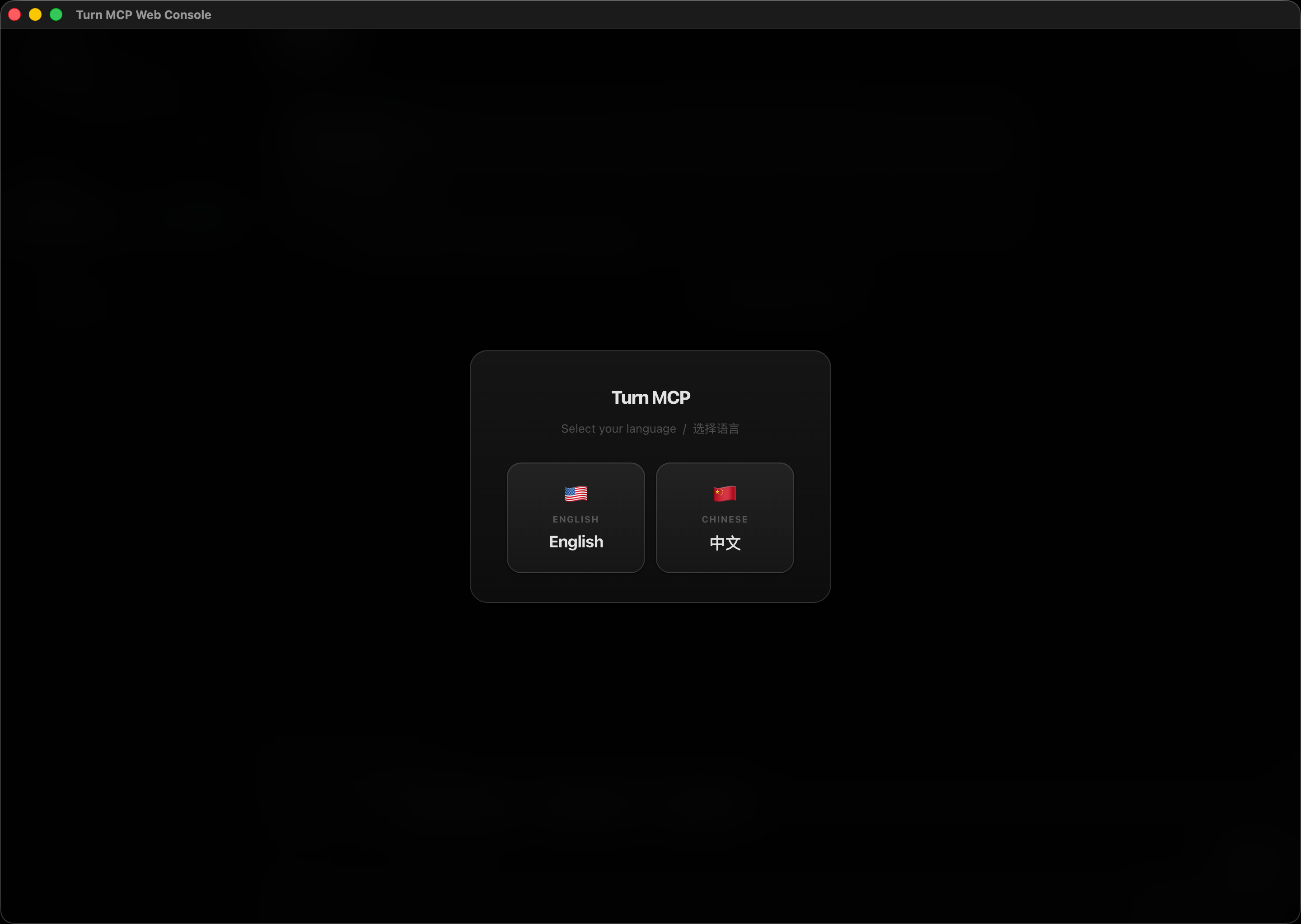 First launch language picker