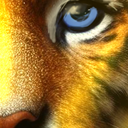 :tiger_middle_right: