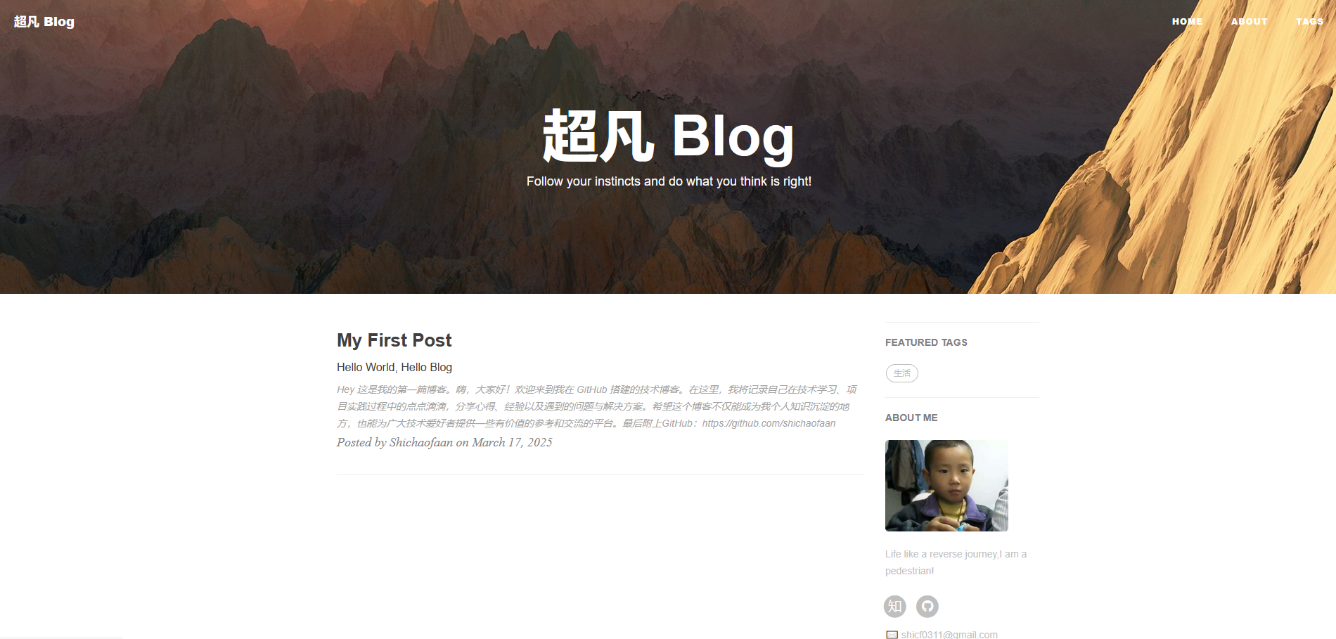 GitHub - shichaofaan/shichaofaan.github.io: 个人博客 · GitHub