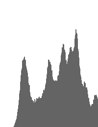 Destination Histogram