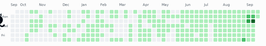 A crowned black cat crosses Shin's full-year GitHub contribution grid in two animated scenes