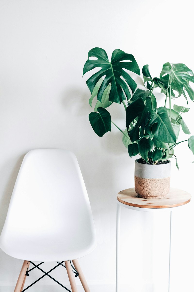 Lush Farm Plants