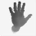 NYU_hand_ref_4
