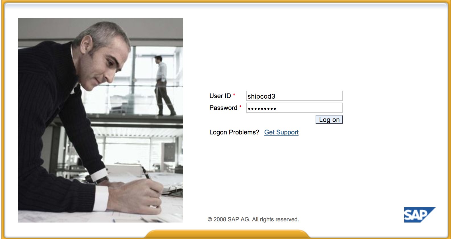 SAP Logon screen