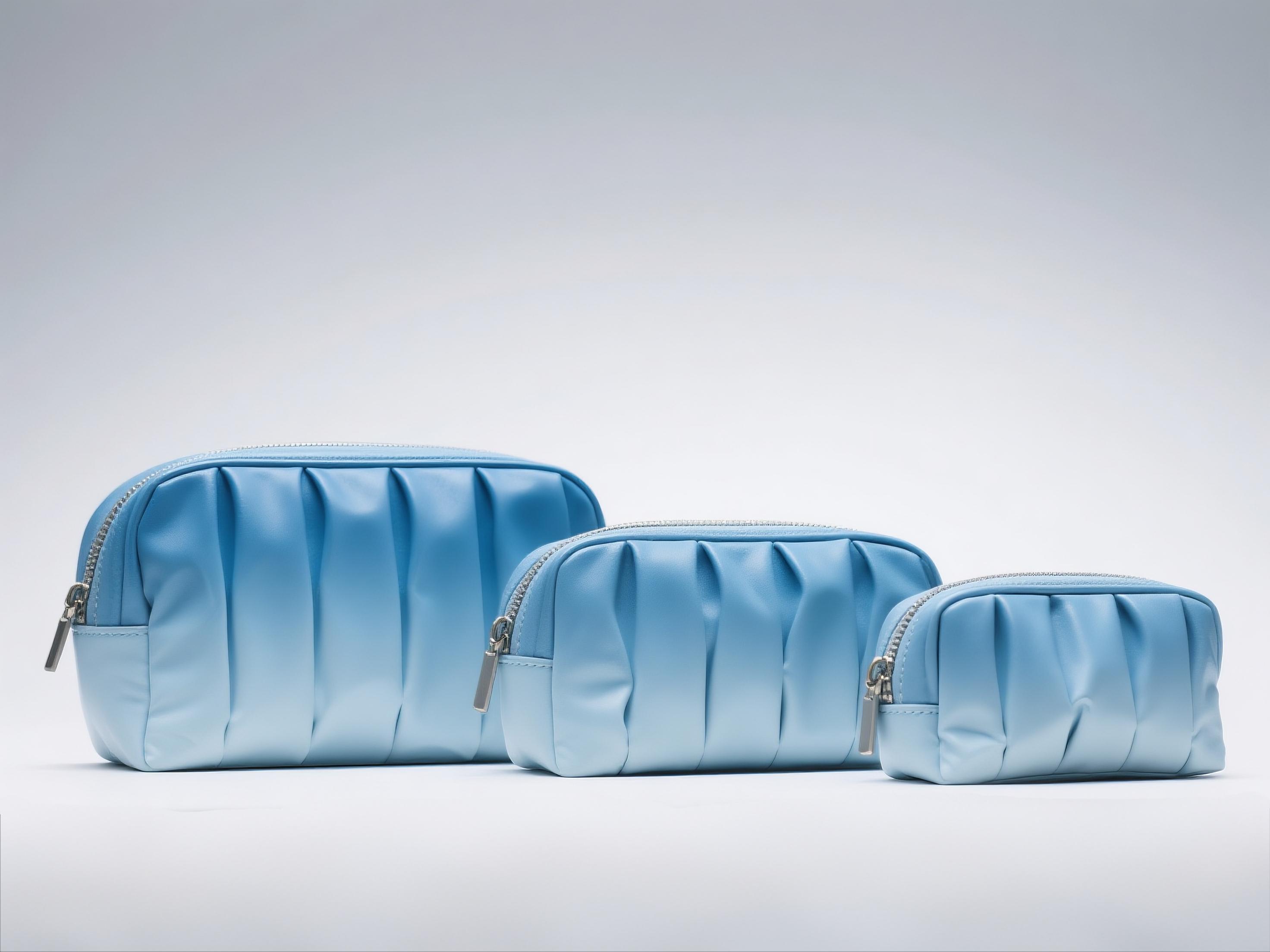 Elegant Ruched Pouch Set
