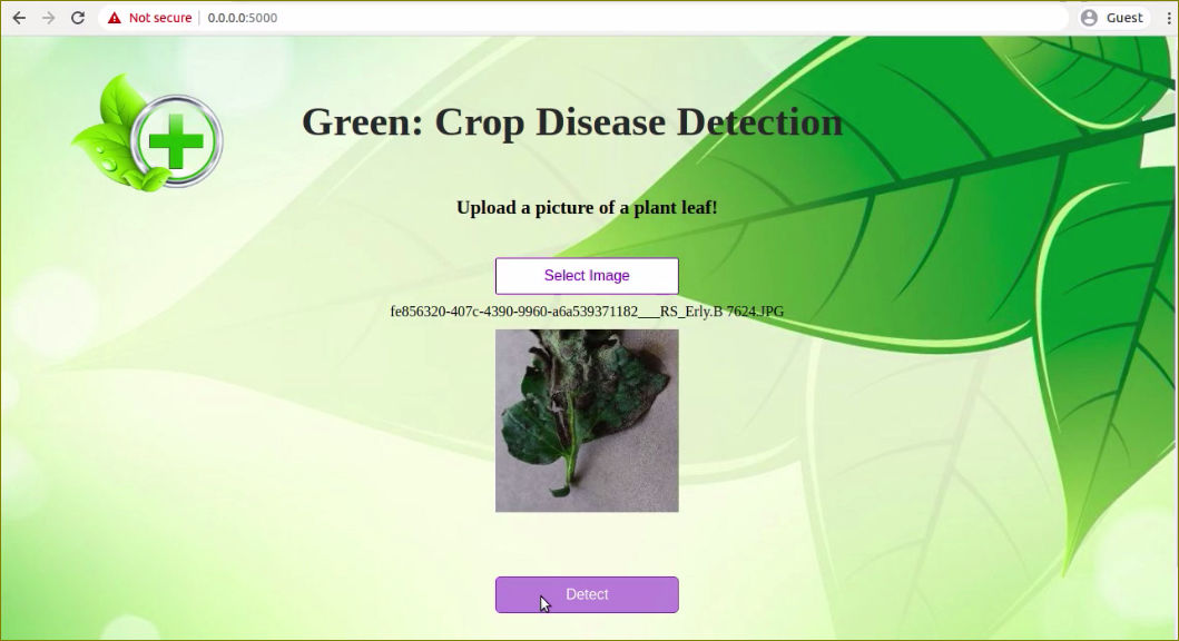 Plant Disease Detection