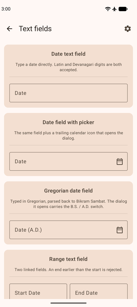 Typed date entry fields