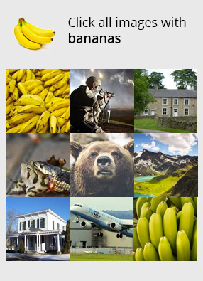 Example of a captcha based on image clicks
