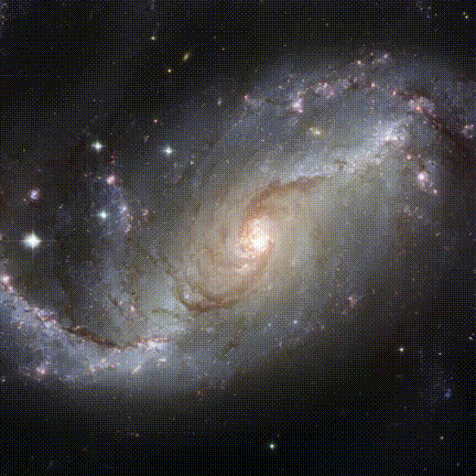GIF 4