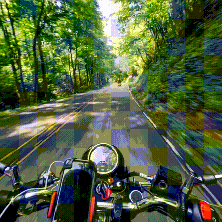GIF 2