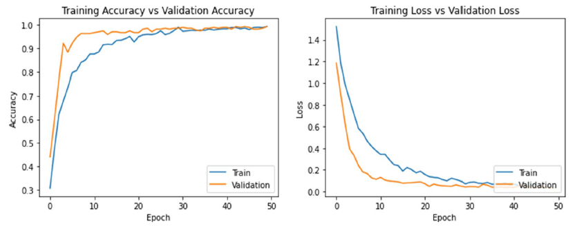 Accuracy and Loss Curves