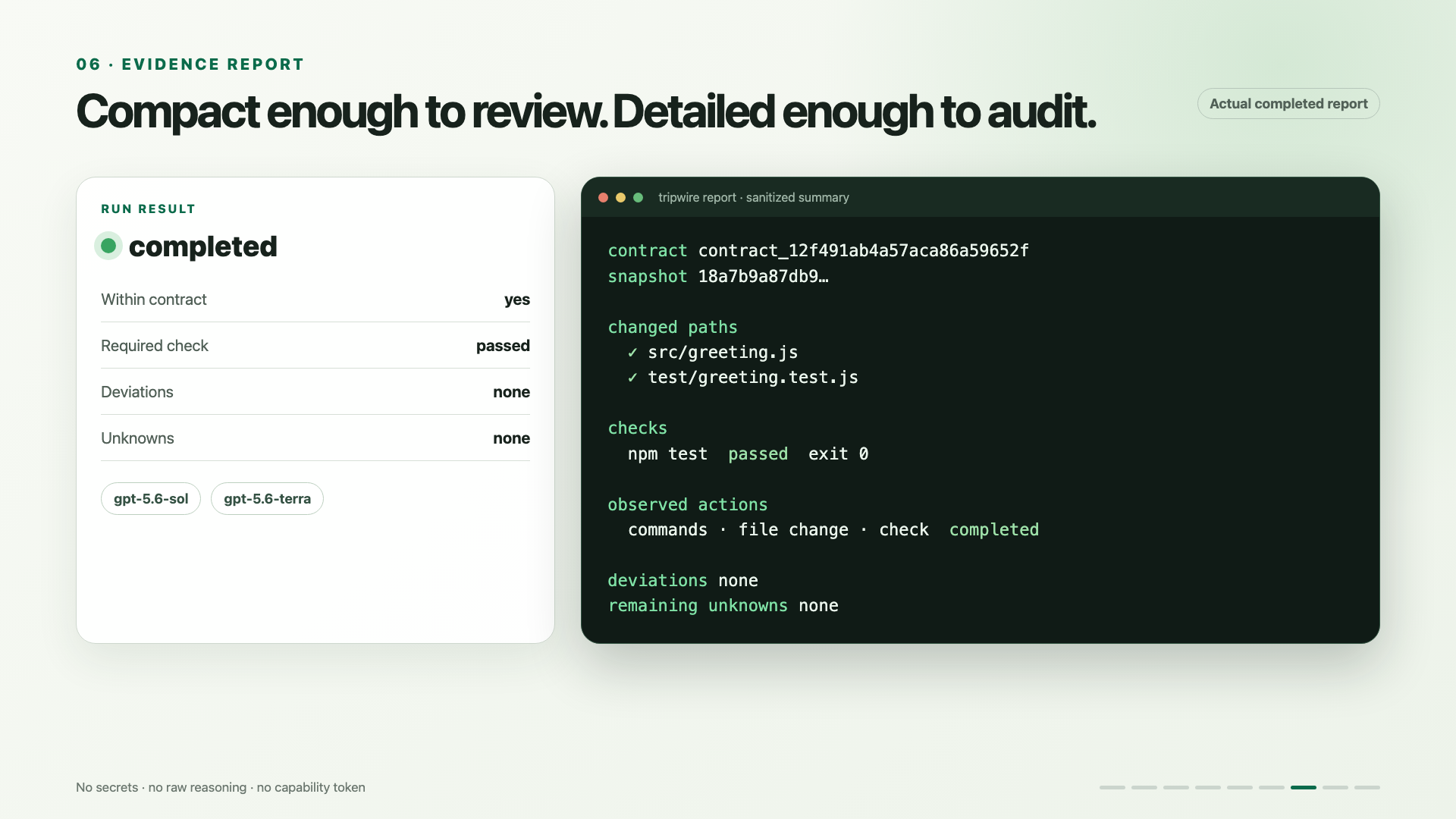 Sanitized execution report