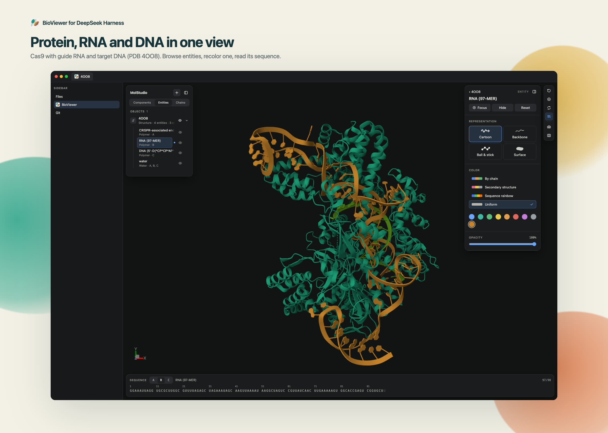 Cas9 的蛋白、RNA 与 DNA
