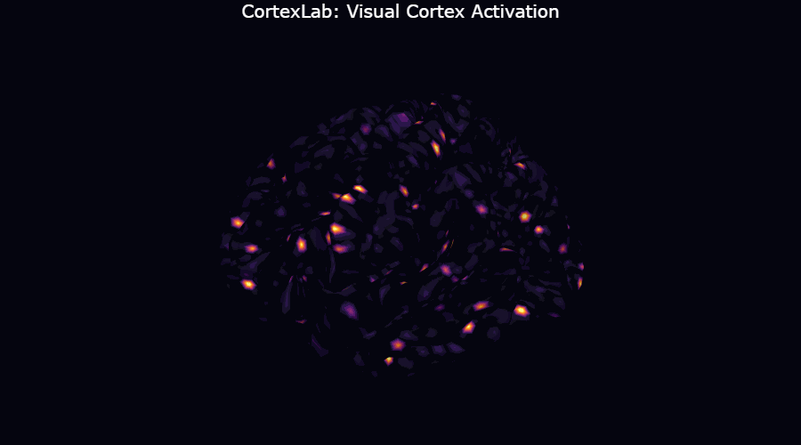 CortexLab Demo