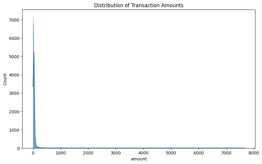 Transaction Amount Distribution