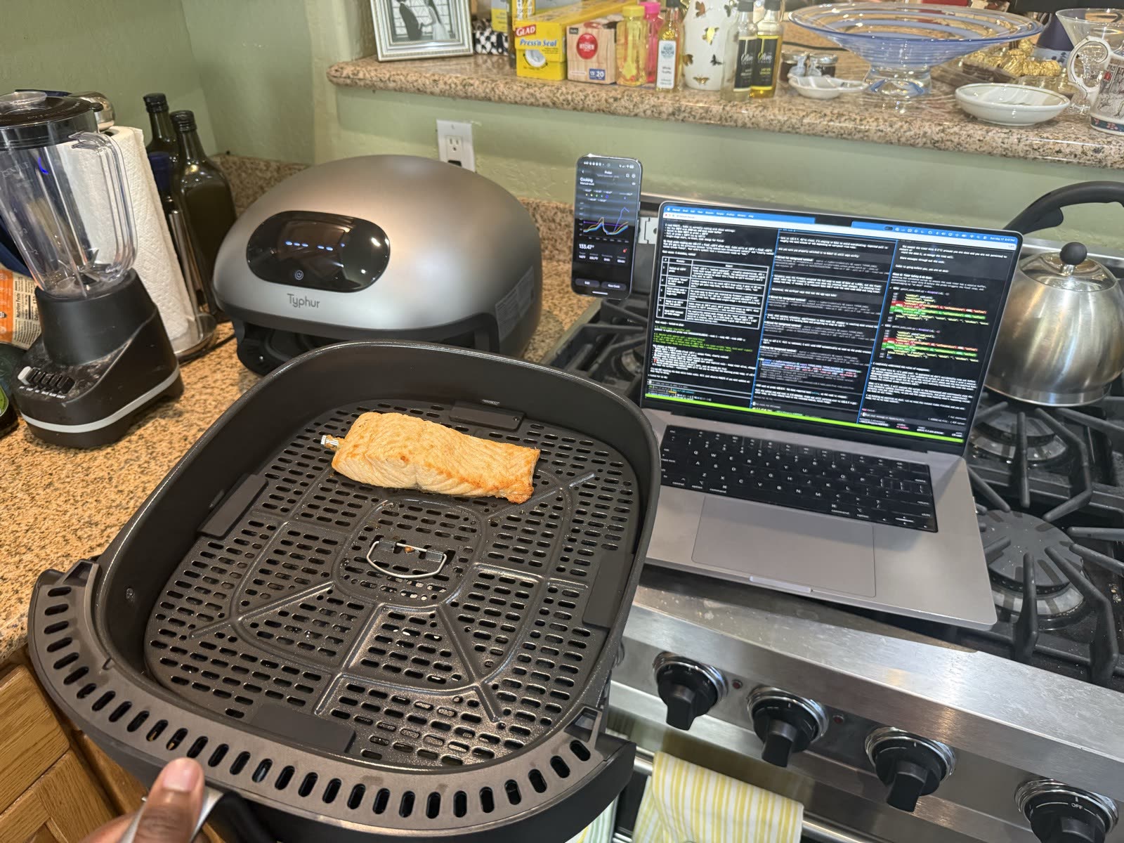 Cooked salmon in the Typhur Dome 2 basket with a Sync ONE probe inserted and CLI telemetry visible
