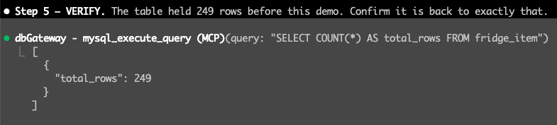 Step 5 — VERIFY: the table is back to its original 249 rows