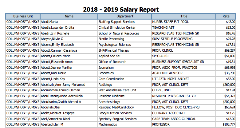 https://raw.githubusercontent.com/sik-flow/mizzou_salaries-/master/images/Overiew_PDF.png