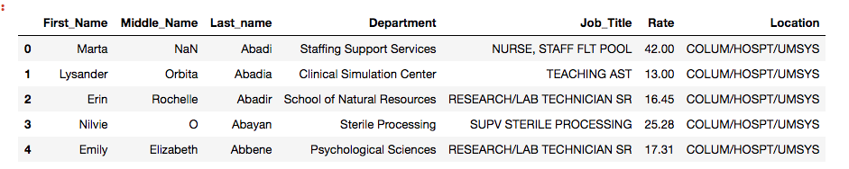 https://raw.githubusercontent.com/sik-flow/mizzou_salaries-/master/images/original_data.png