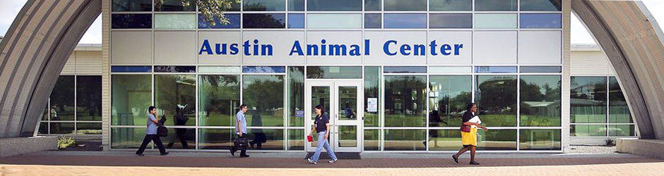 austin animal center